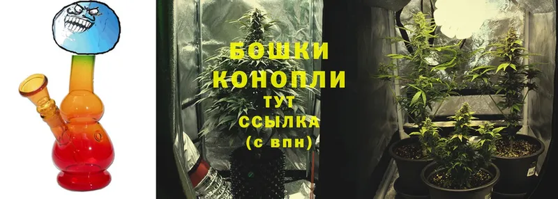 Каннабис Ganja  хочу   Холм 